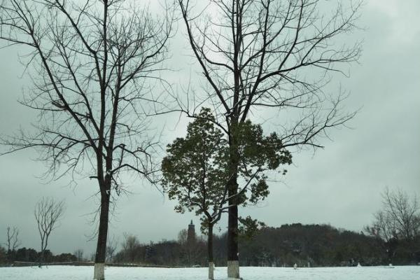 解读《余命》:生命、希望与爱的力量 解读《余命》:生命、希望与爱的力量