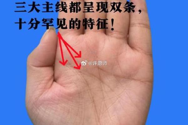探秘掌纹中的双线暗示,解码你的命运之谜! 探秘掌纹中的双线暗示,解码你的命运之谜!