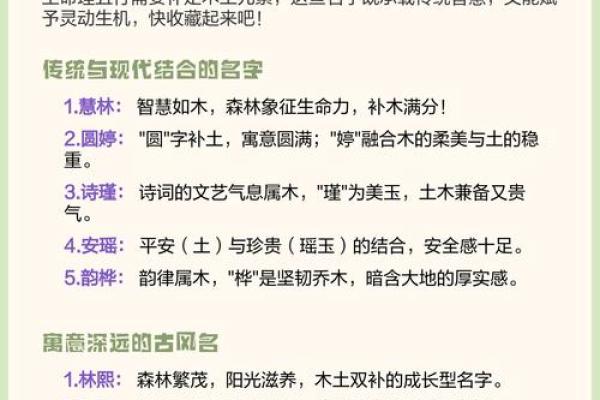 2004年出生者命理解析：缺什么，如何弥补？