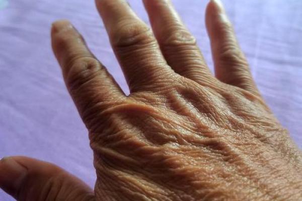 胖手圆润女孩的命运之路：从外表到内心的蜕变