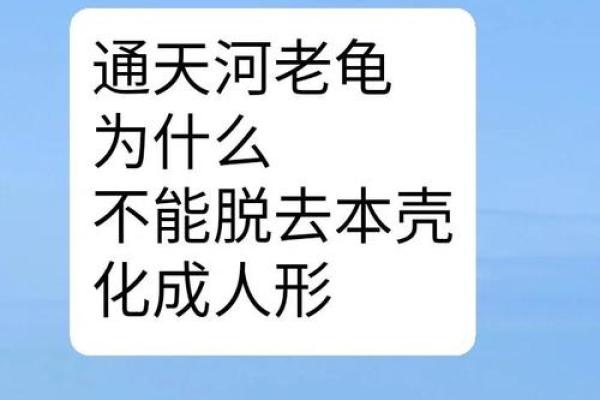 乌龟为何能活得如此漫长？揭秘长寿之道与神秘生活!