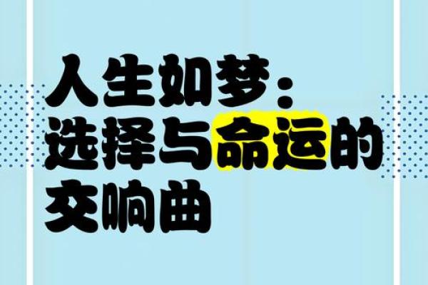 命运的交响曲：一命还一命的哲思与启示