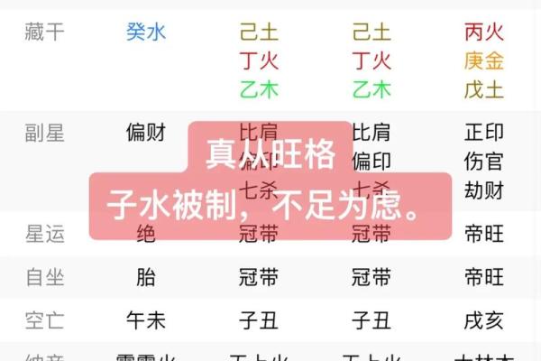 己巳年生人的命运解析：探索八字与生肖的奥秘