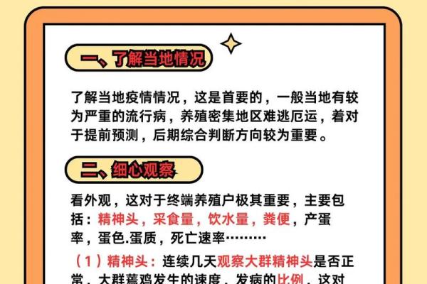 属鸡命运：探究为何生肖鸡人常感人生不顺的秘密