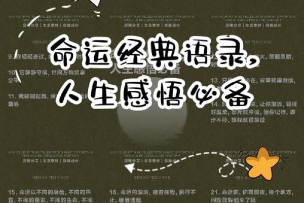 80岁老人生活的智慧与命运的交响曲 80岁老人生活的智慧与命运的交响曲