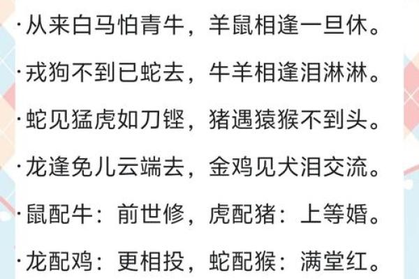 鸡鸭牛马属什么命人？探秘动物和命理的奇妙关系！