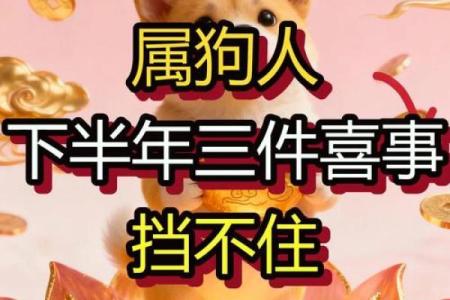 18岁属狗，幸运与挑战并存的一年！