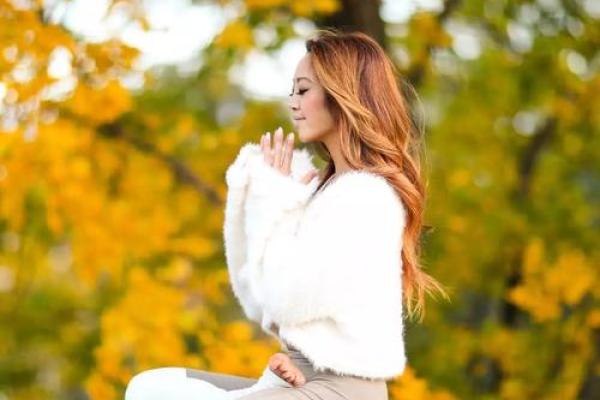 松柏木命属相解析：寻找内心的平衡与力量