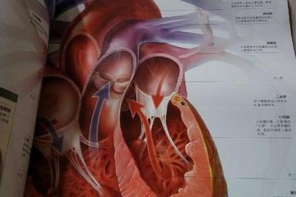 探秘29号生日的命运与人生轨迹，揭开神秘的生命密码！