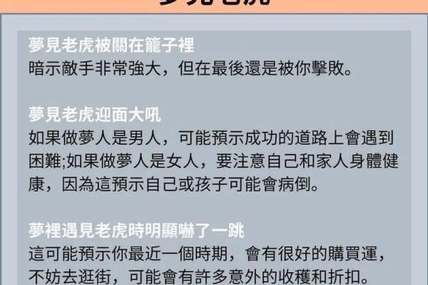 2024年虎宝宝命理解析：成长与运势的精彩旅程