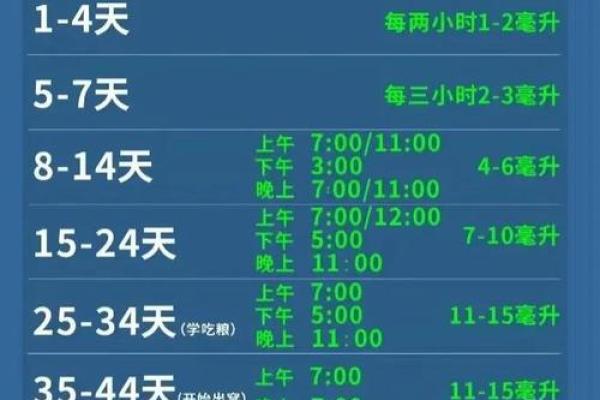 2024年虎宝宝命理解析：成长与运势的精彩旅程