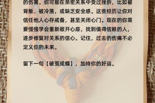 探秘“命的价值”：一条命五条命背后的深意与感悟