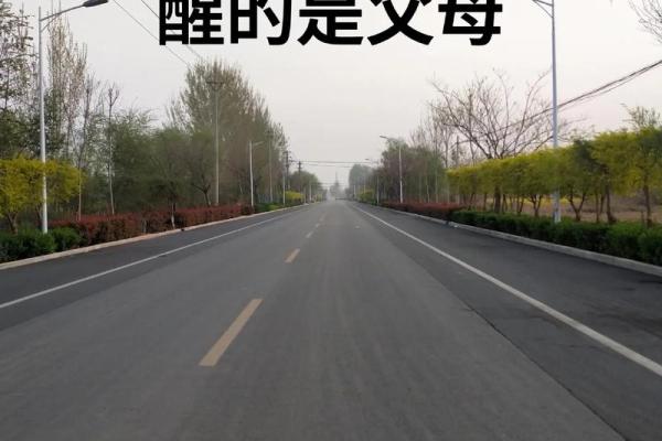 揭秘2022年新生儿的命运：你知道他们会成为什么样的人吗？