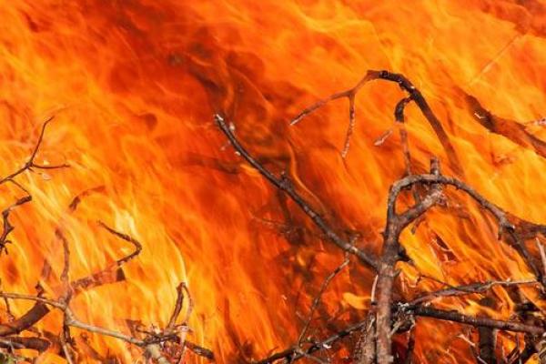 山头火命与适合搭配的命格分析：探寻人生中的最佳伴侣与发展机会