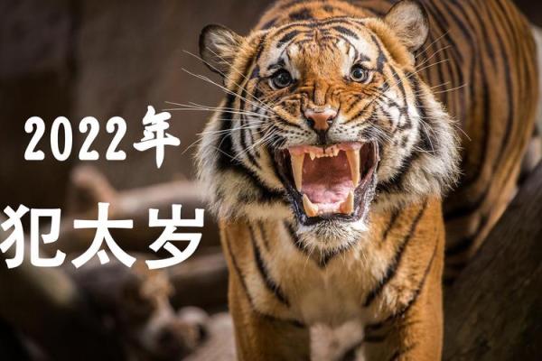 2022年：生肖虎年的人生转折与机遇展望