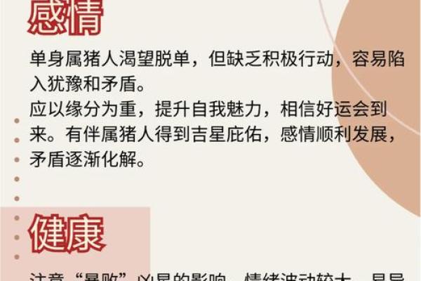 2024年猪年运势解析：如何抓住猪年机遇，发掘个人潜力！