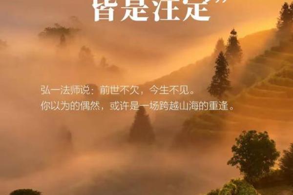 命运无常，何为命？探寻人生中的机遇与挑战