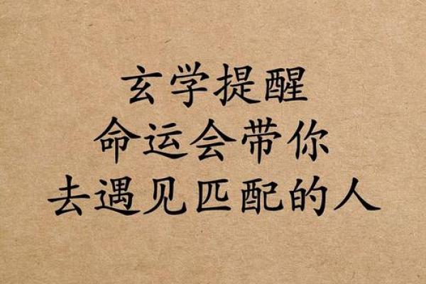 命带贵人：探索命理中的贵人运与人生助力