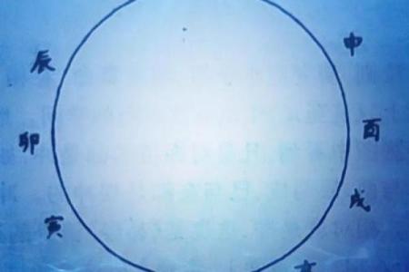 命格数理与生肖的深奥联系，揭示你的命运密码！