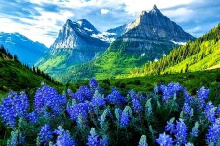 2011年辛卯年命女：魅力与挑战并存的人生旅程