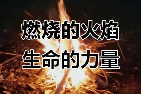 林中火命的人缺什么：探索内心的火焰与力量的平衡