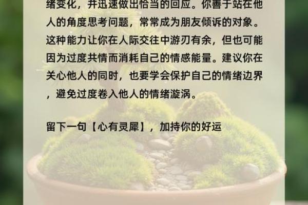林中火命的人缺什么：探索内心的火焰与力量的平衡