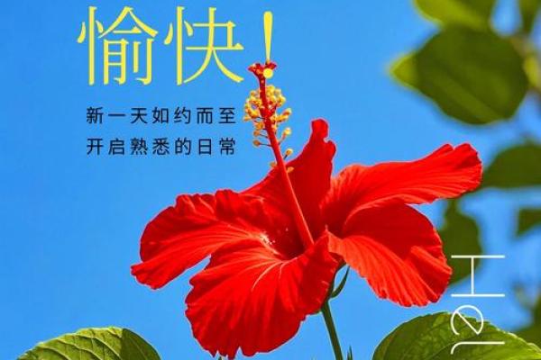 1994年腊月19日，那一天你我心中的暖意与祝福