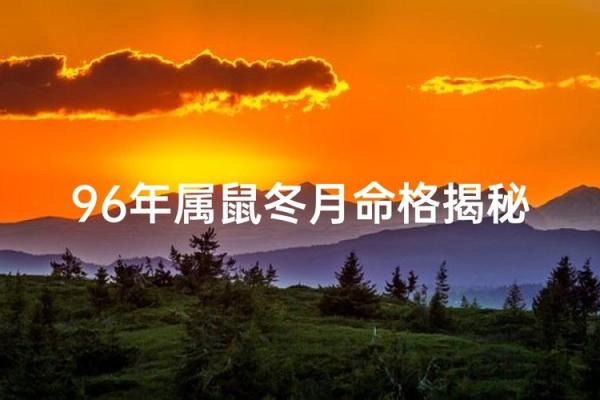 1996年属鼠人的命运解析与人生启示