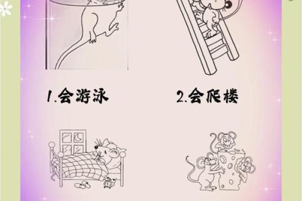 1996年属鼠人的命运解析与人生启示