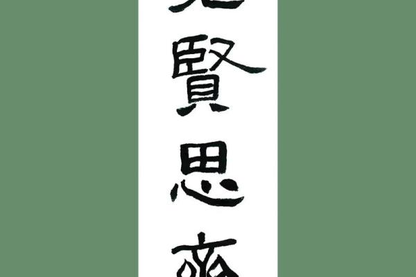 见贤思齐，成语接龙中的智慧与乐趣