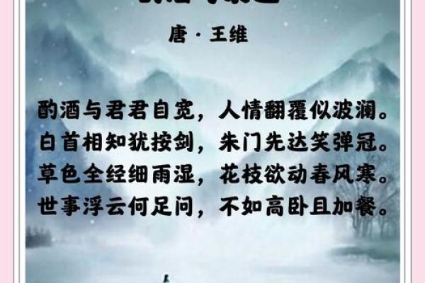 命酌酒味，人生如歌：解读开室命酌酒的深刻含义