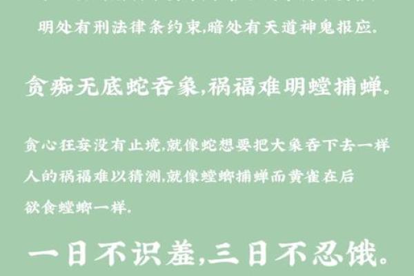 命里短命关的秘密：如何解读与化解？探寻命运的奥秘
