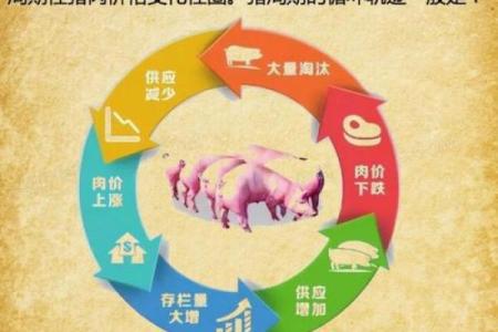 1983年出生猪女的命运解析：生活、爱情与事业的多重选择