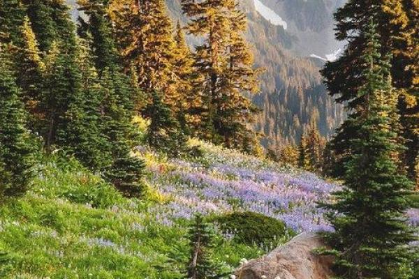 1991年出生的人命运解析:从五行看人生旅途的风景 1991年出生的人命运解析:从五行看人生旅途的风景