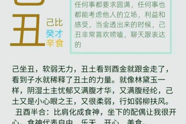 命格解析：深度剖析坐地财命的含义与启示