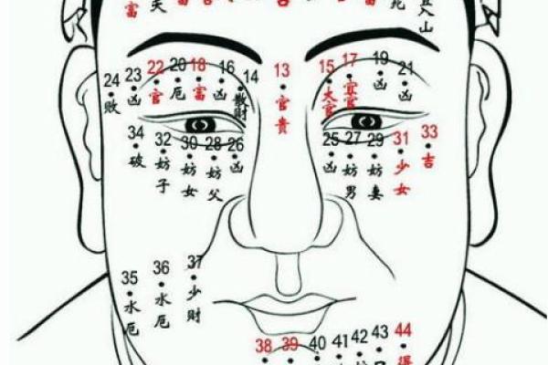 嘴巴子短的人命运如何？解析性格与运势的关联