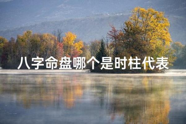 探索命盘中的福星:如何利用福星的力量提升生活质量 探索命盘中的福星:如何利用福星的力量提升生活质量