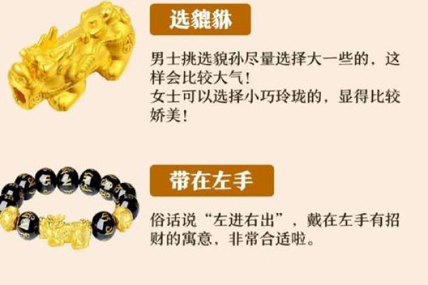 探秘貔貅命格的特征与风水运势解析 探秘貔貅命格的特征与风水运势解析