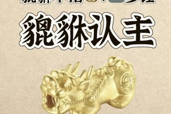 探秘貔貅命格的特征与风水运势解析 探秘貔貅命格的特征与风水运势解析