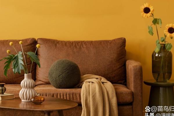 火命者的家居色彩：点亮生活的五彩斑斓