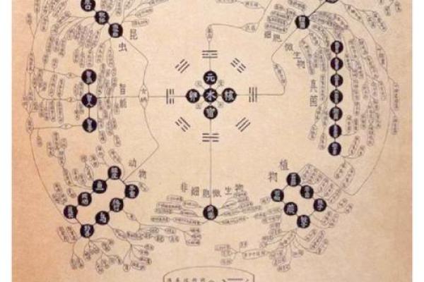 1977年小龙命的独特人生轨迹与五行探秘 1977年小龙命的独特人生轨迹与五行探秘