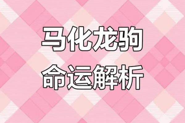 27年出生的马，命理分析与运势解读