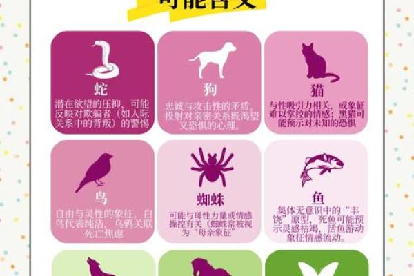 探索“蛇”的魅力：1965年农历生肖解析与命运探秘