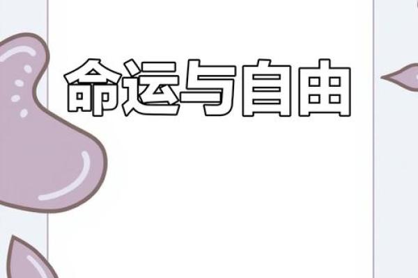 命运的指引：探寻人生的注定与自由选择的平衡
