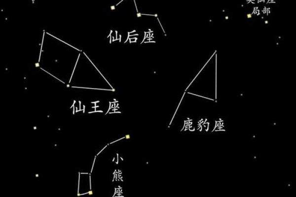 八月星座运势解析:十二星座的命运之路揭示 八月星座运势解析:十二星座的命运之路揭示