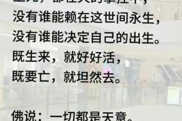 一命换三命背后的心理与社会原因探析