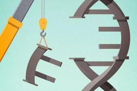 如何辨别自己的命运属于哪一类型：一探生命的奥秘与启示