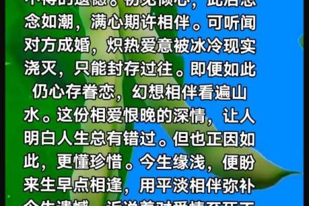 爱你如命，今生今世不离不弃的情感篇章