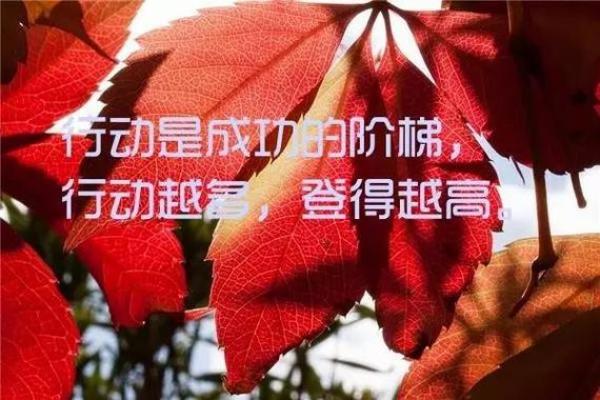 九六正月十六：命运的启示与人生的选择