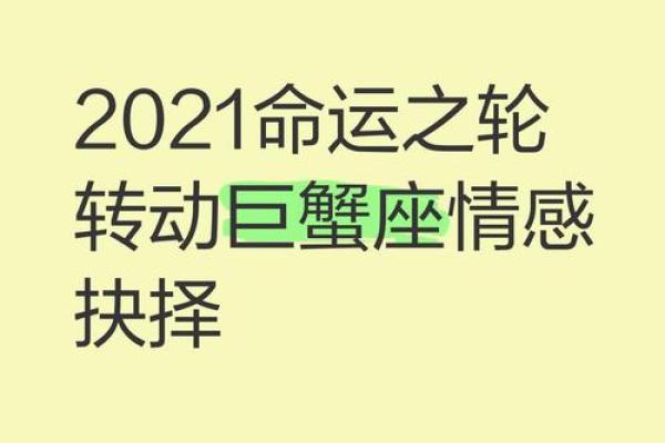 命运之轮：数字背后的启示与探寻
